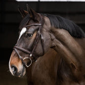 Stübben Hoofdstel 2700 Pro-Jump Gecombineerde Neusriem Ebony Brown/Ebony Brown