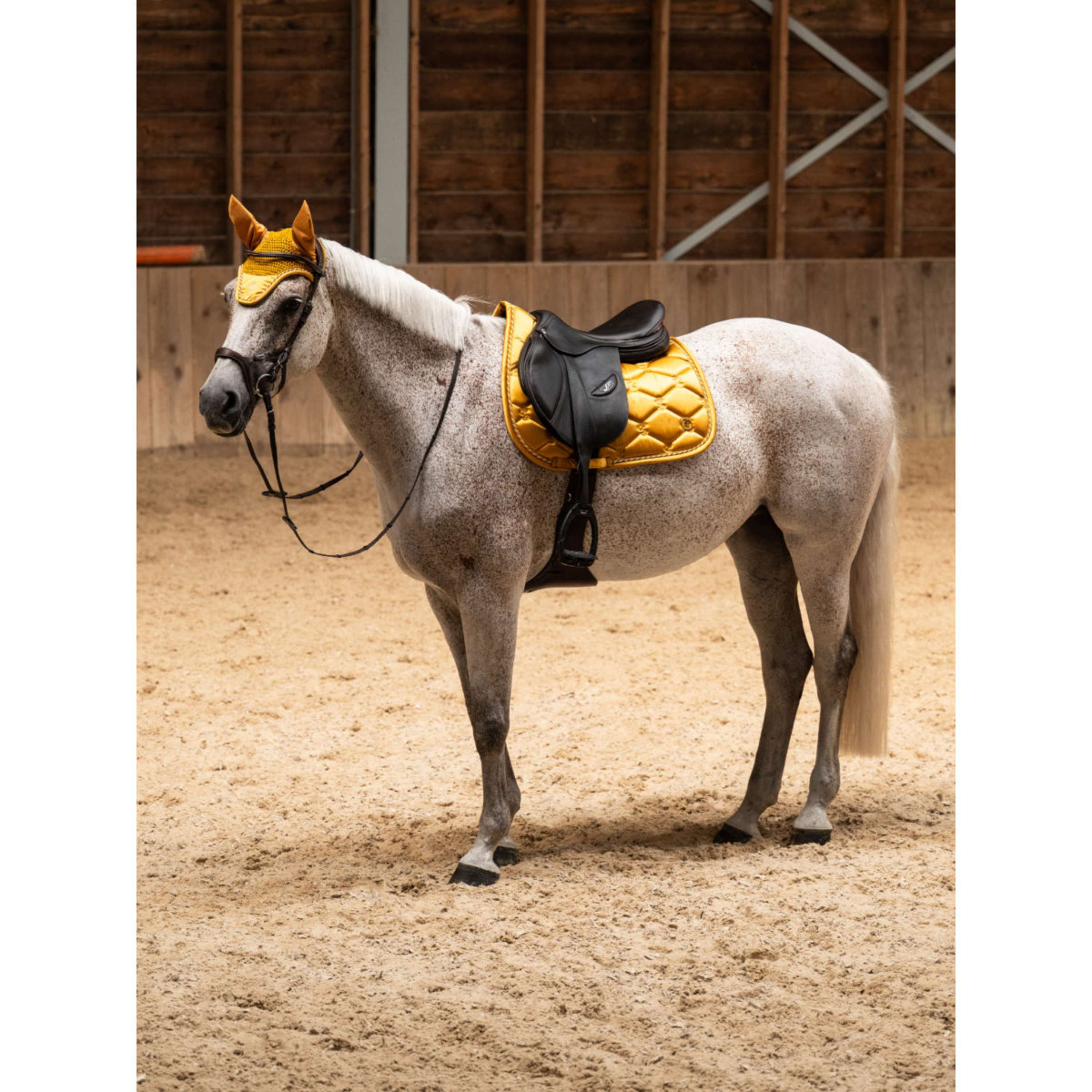 PS of Sweden Zadeldekje Signature Springen Old Gold