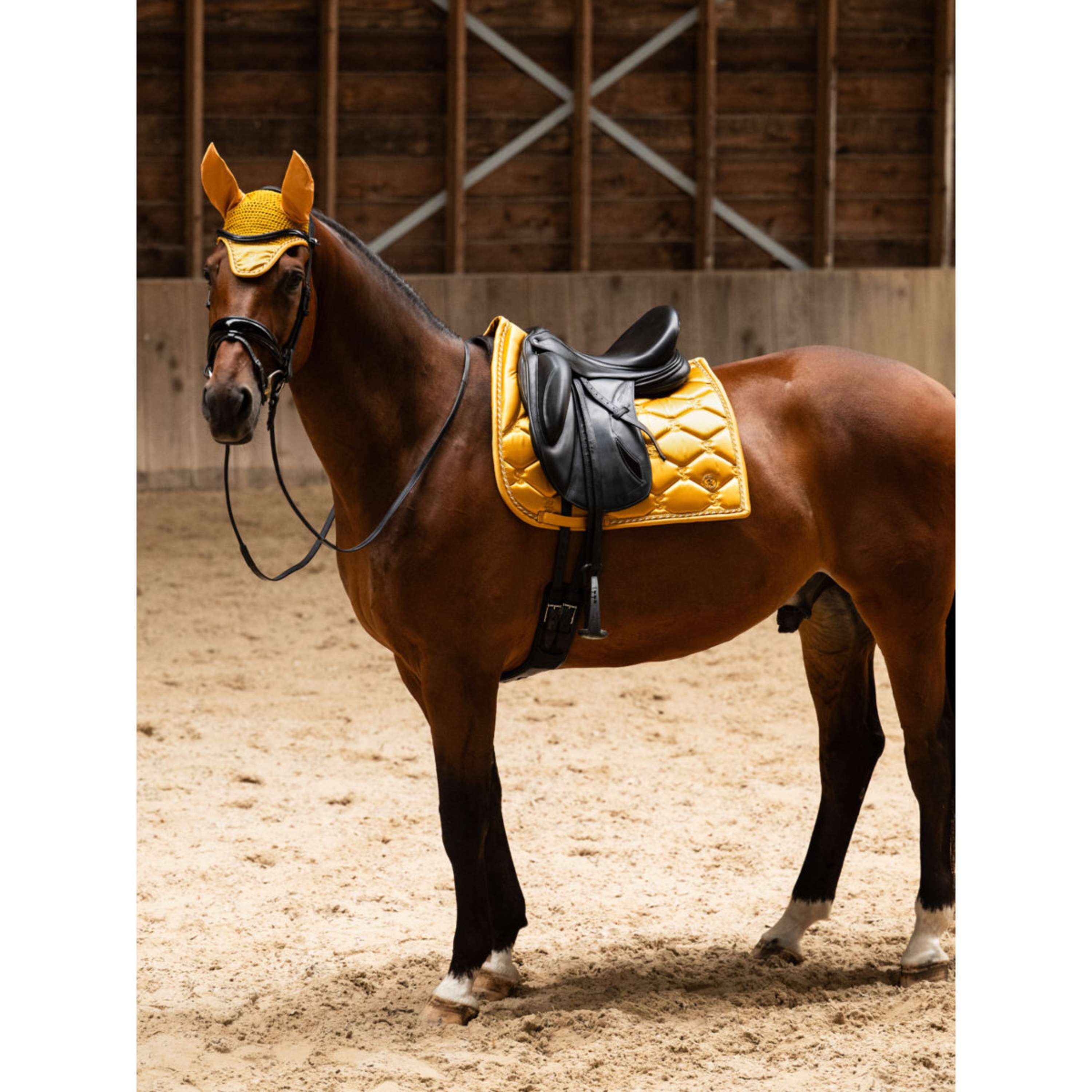 PS of Sweden Zadeldekje Signature Dressuur Old Gold