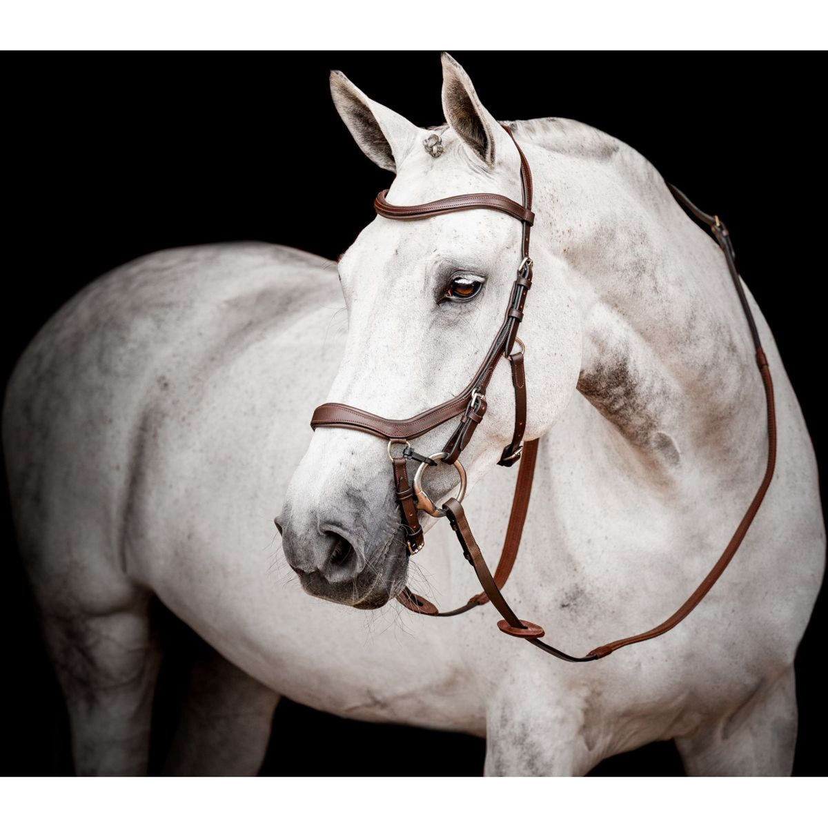 Rambo Micklem Multi Bridle New Dark Havana