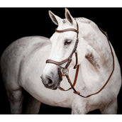 Rambo Micklem Multi Bridle New Dark Havana