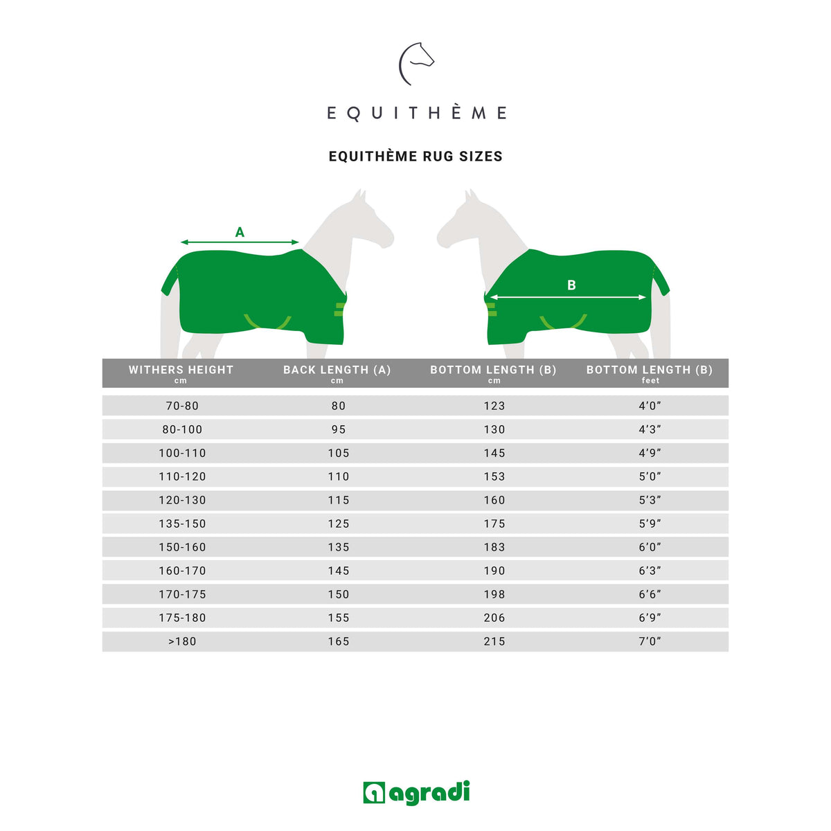 EQUITHÈME Outdoordeken 600D Standard 300g Zwart