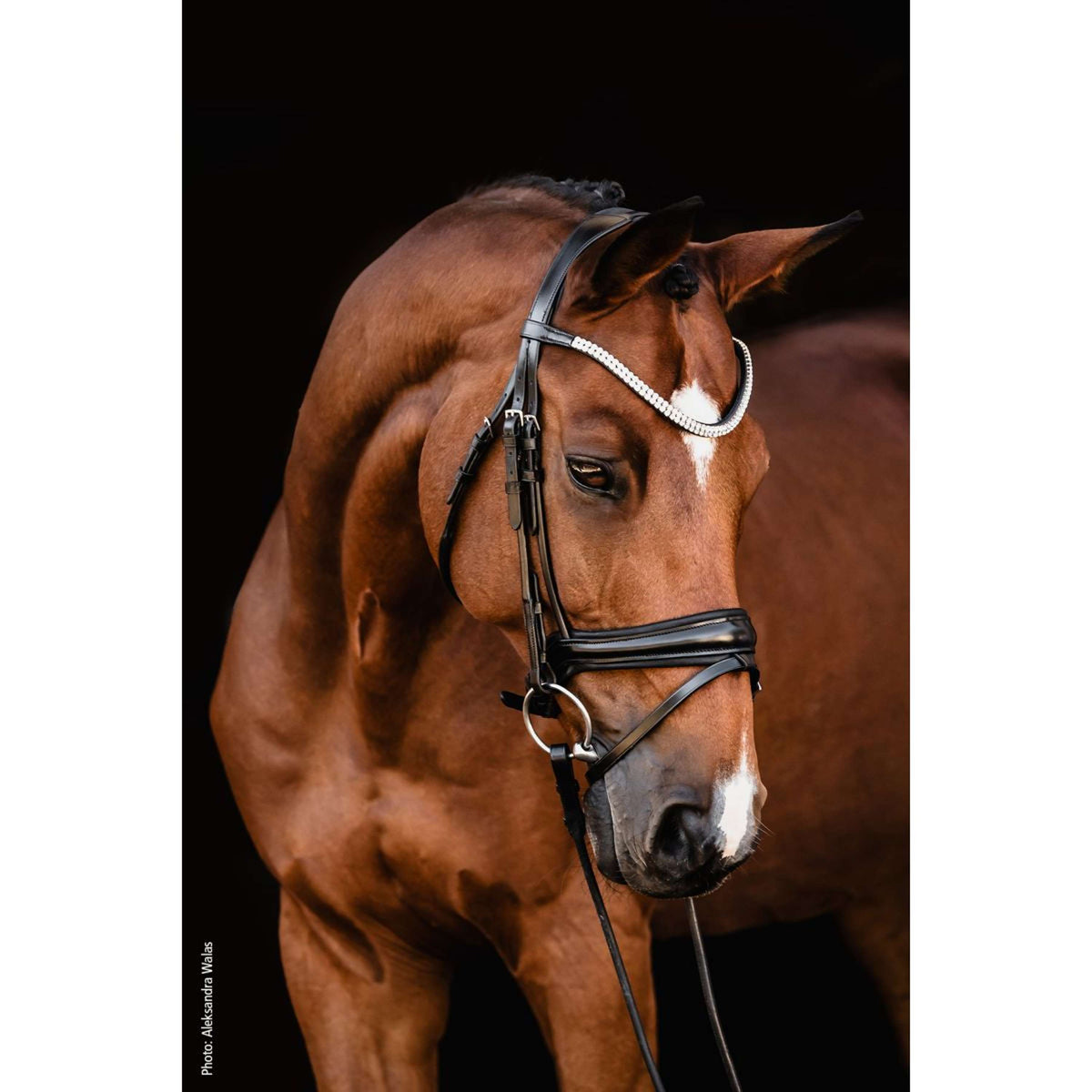 Schockemöhle Trenshoofdstel SP Isabell Werth Johnny Zwart/Zilver