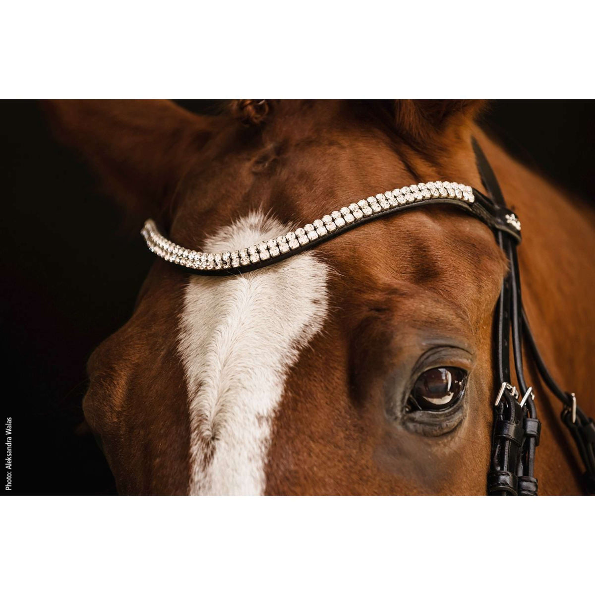 Schockemöhle Trenshoofdstel SP Isabell Werth Johnny Zwart/Zilver