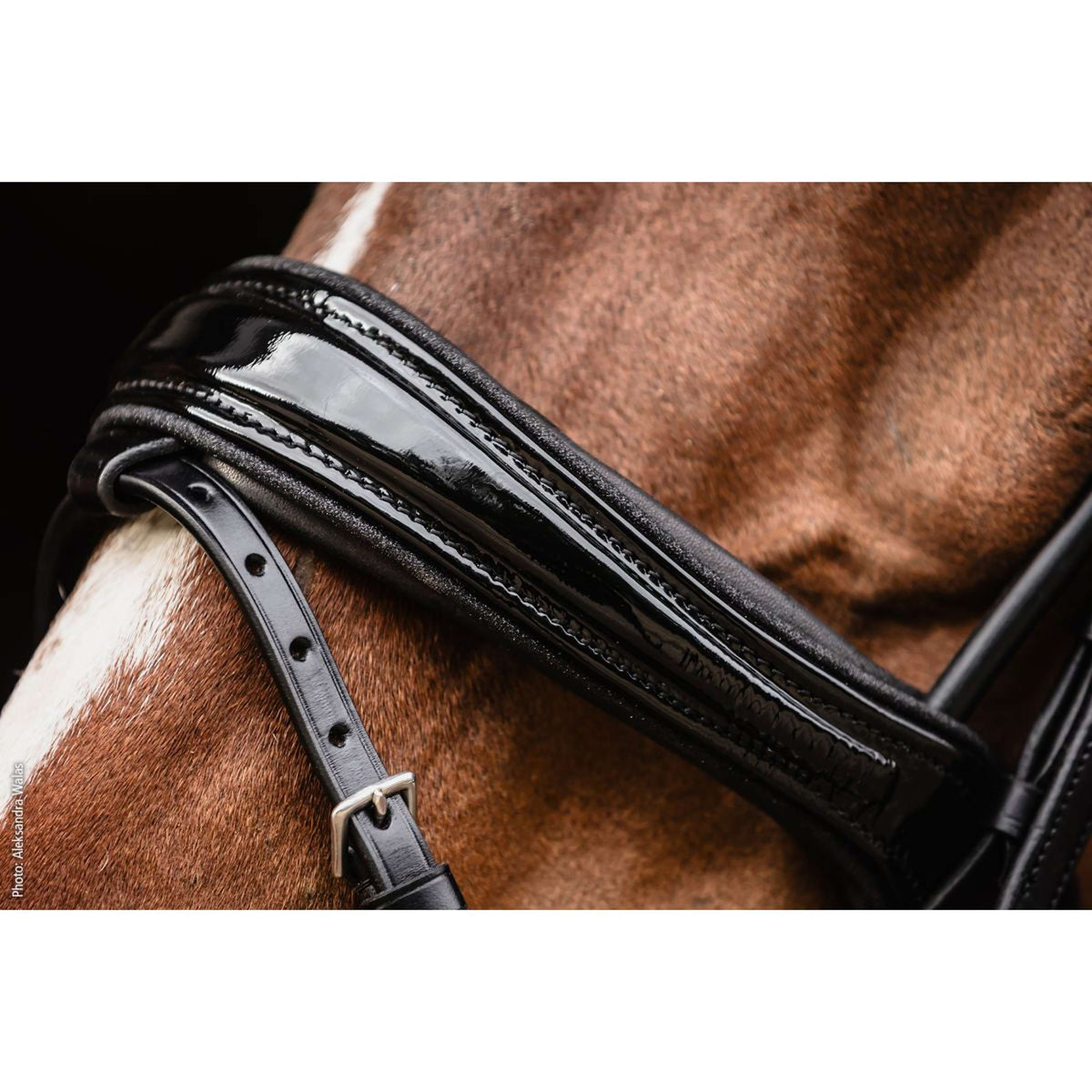 Schockemöhle Trenshoofdstel SP Isabell Werth Satchmo Zwart/Patent/Zilver