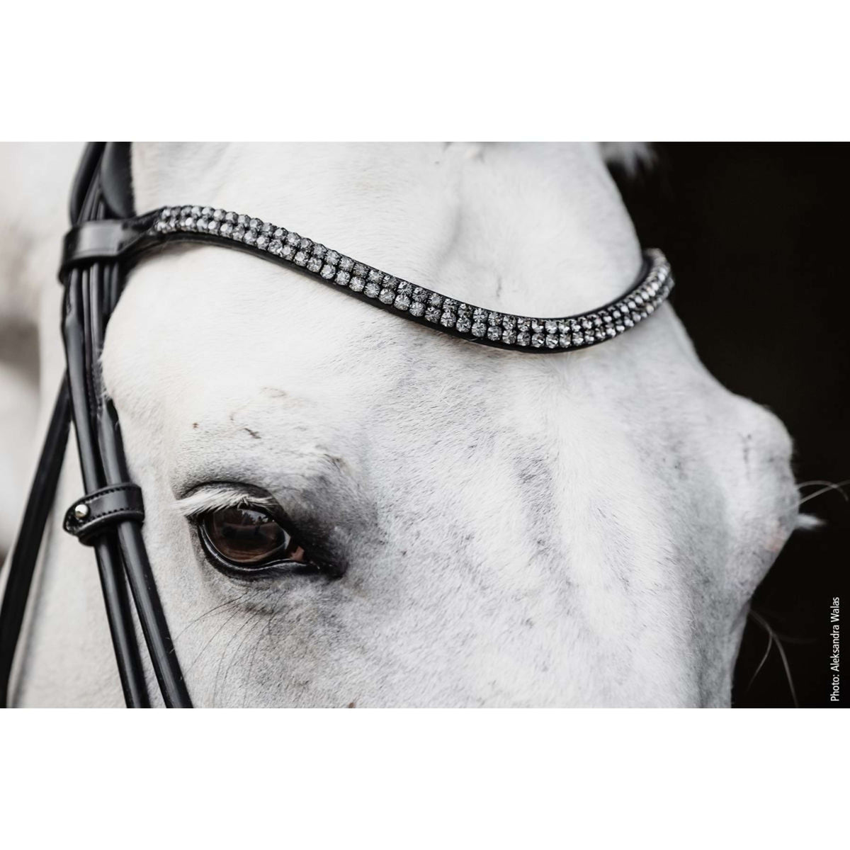 Schockemöhle Trenshoofdstel SP Isabell Werth Satchmo Zwart/Patent/Zilver