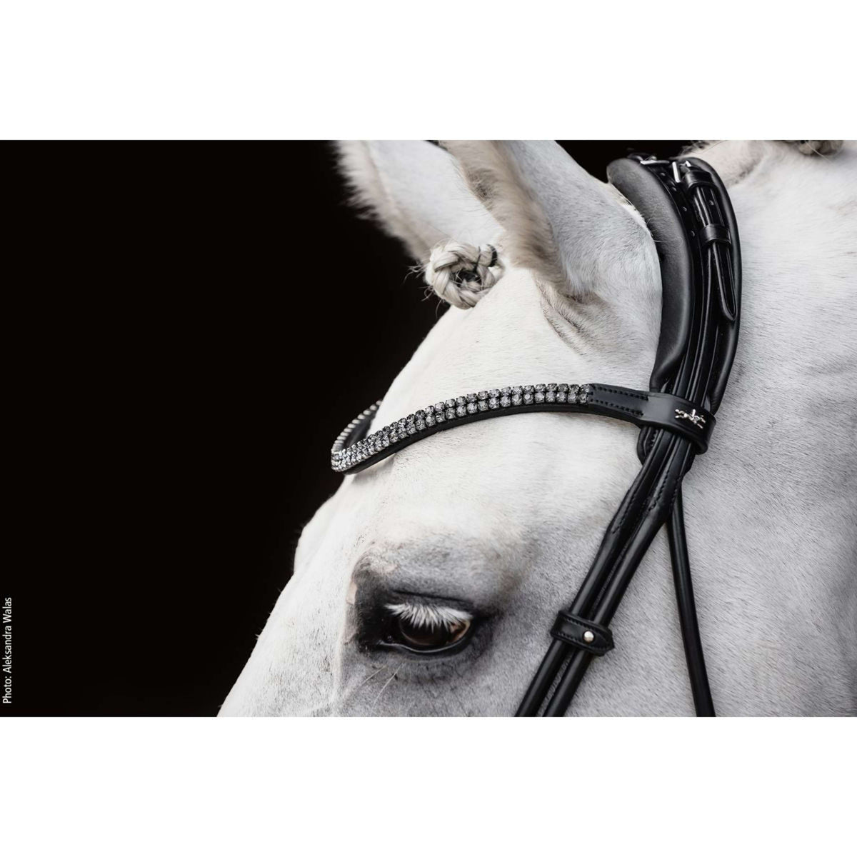 Schockemöhle Trenshoofdstel SP Isabell Werth Satchmo Zwart/Patent/Zilver