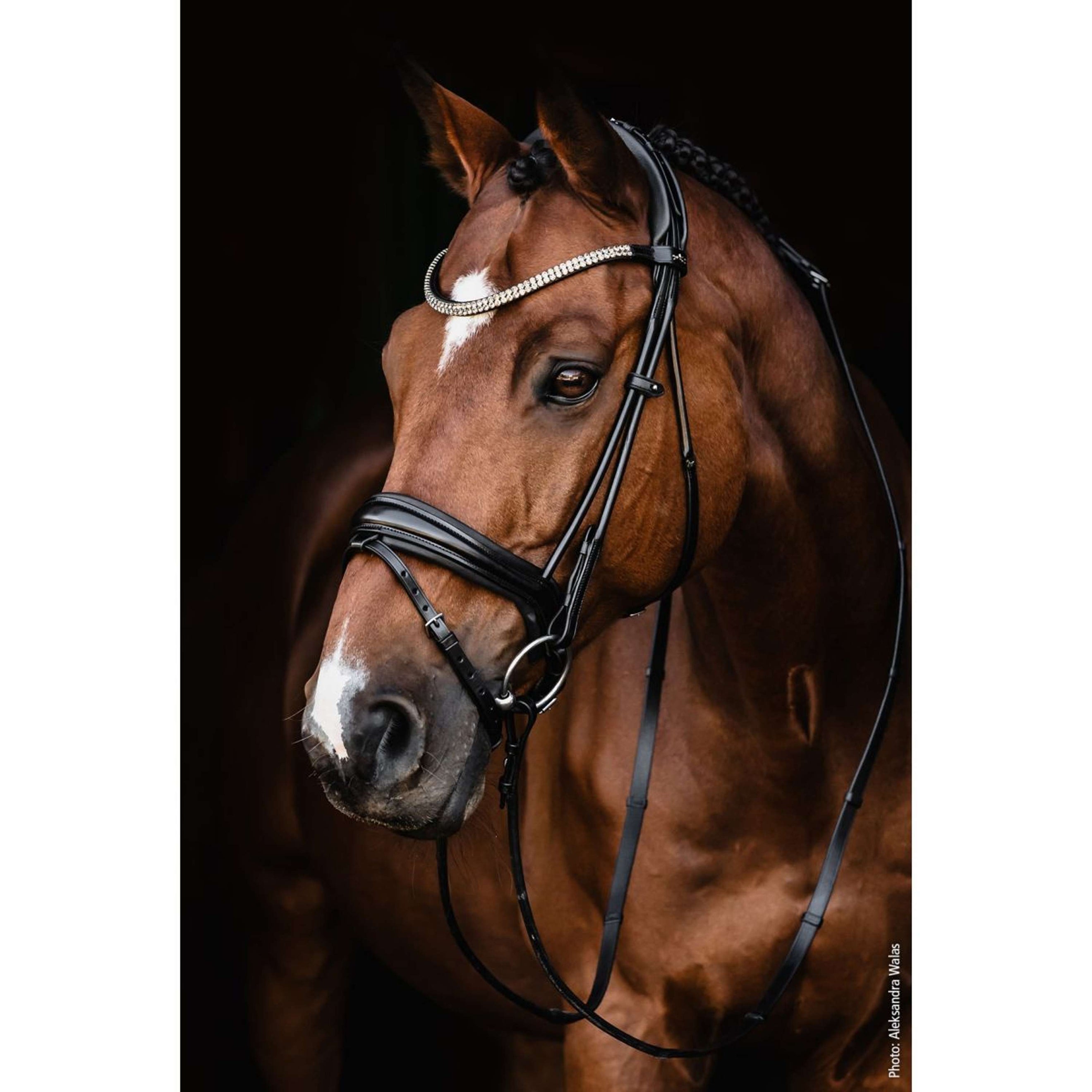 Schockemöhle Trenshoofdstel SP Isabell Werth Satchmo Zwart/Zilver Schockemöhle Trenshoofdstel SP Isabell Werth Satchmo Zwart/Zilver