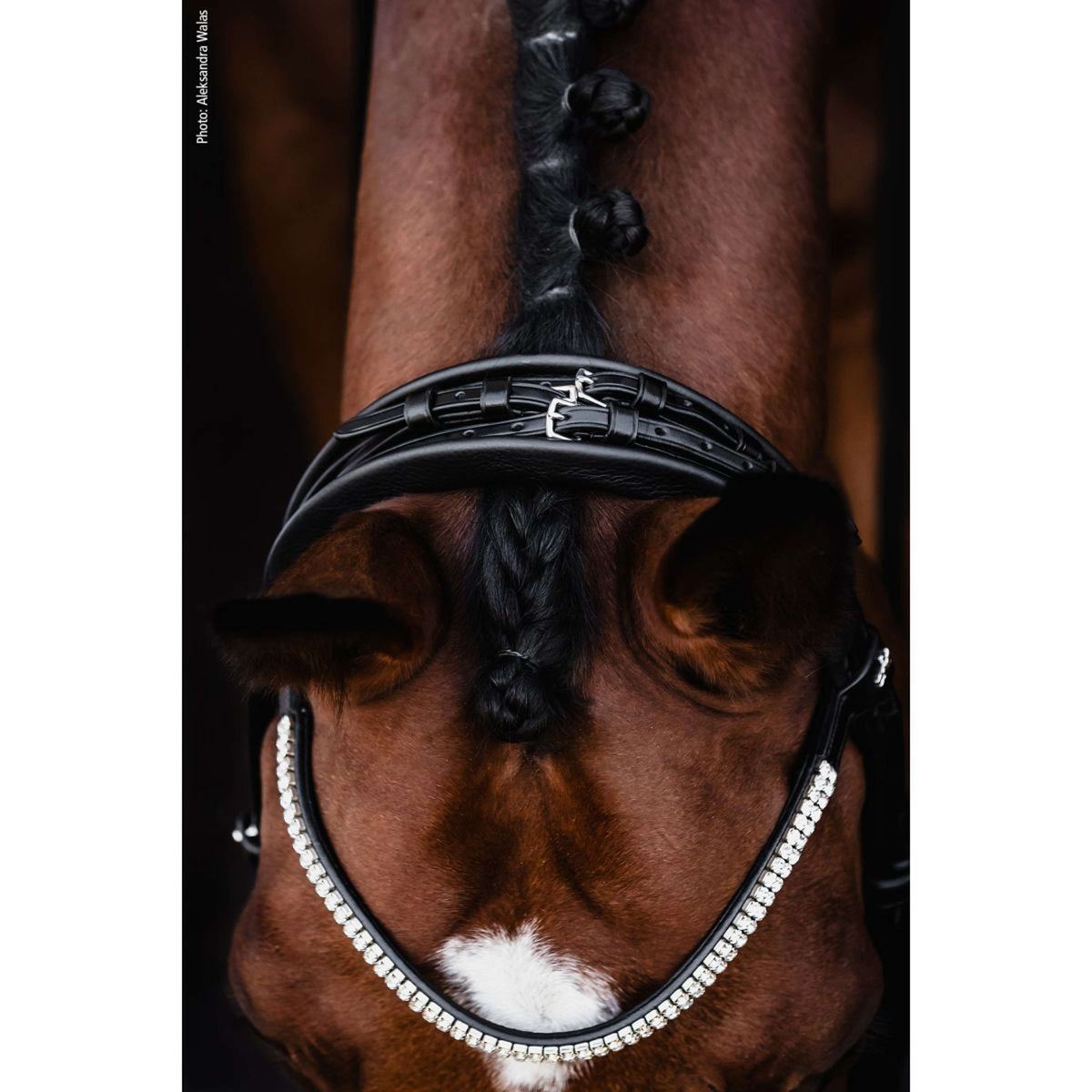 Schockemöhle Stang- en Trenshoofdstel SP Isabell Werth Bella Rose Zwart/Wit/Zilver