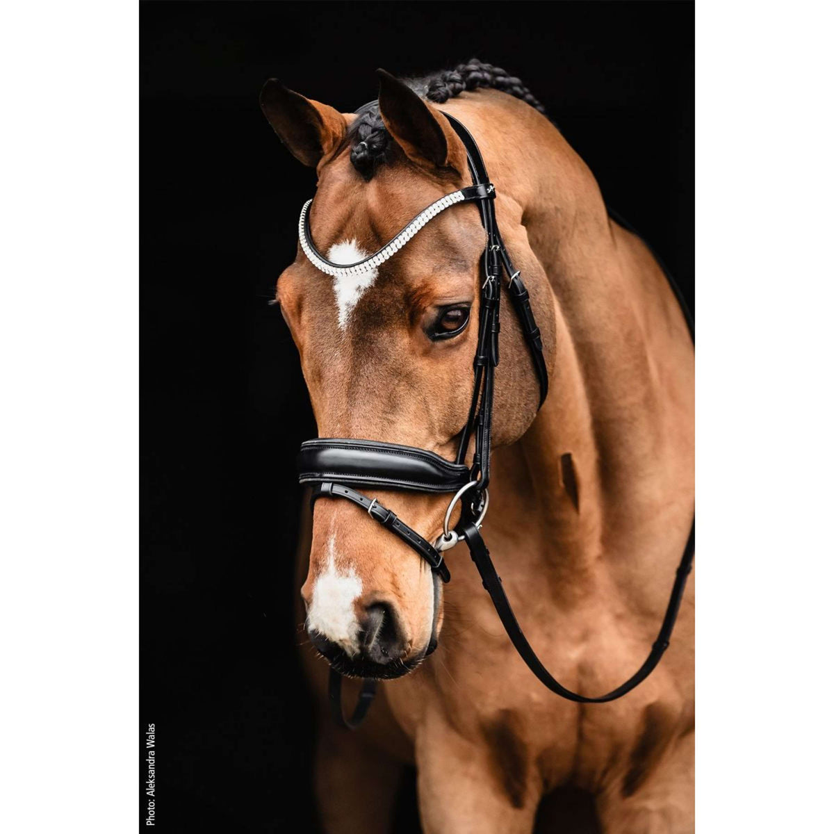 Schockemöhle Hoofdstel Valencia Zwart/Zilver