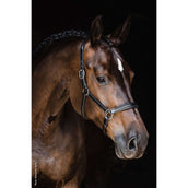 Schockemöhle Halster Ulm Pro Zwart/Zilver