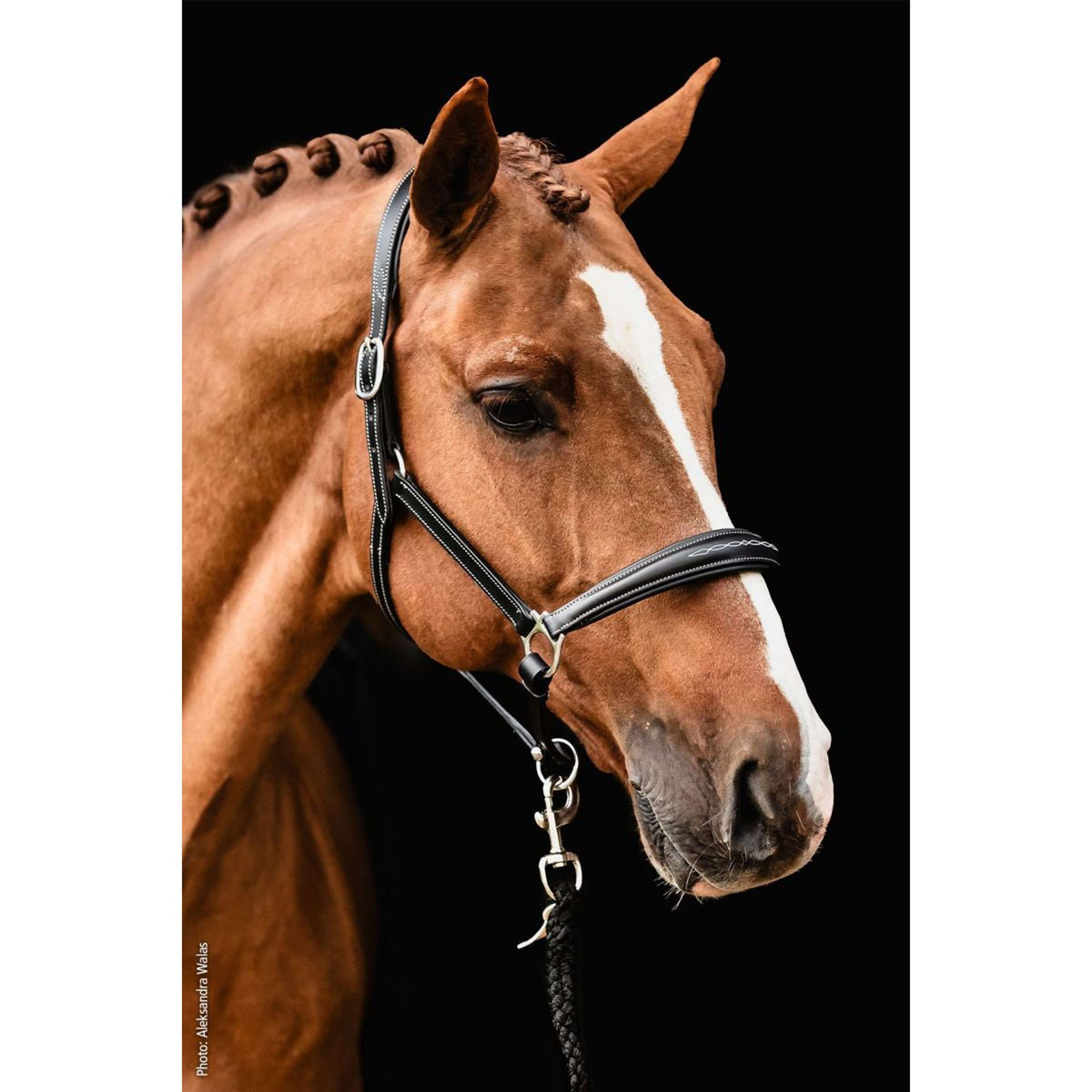 Schockemöhle Halster Fremont Pro Zwart/Zilver