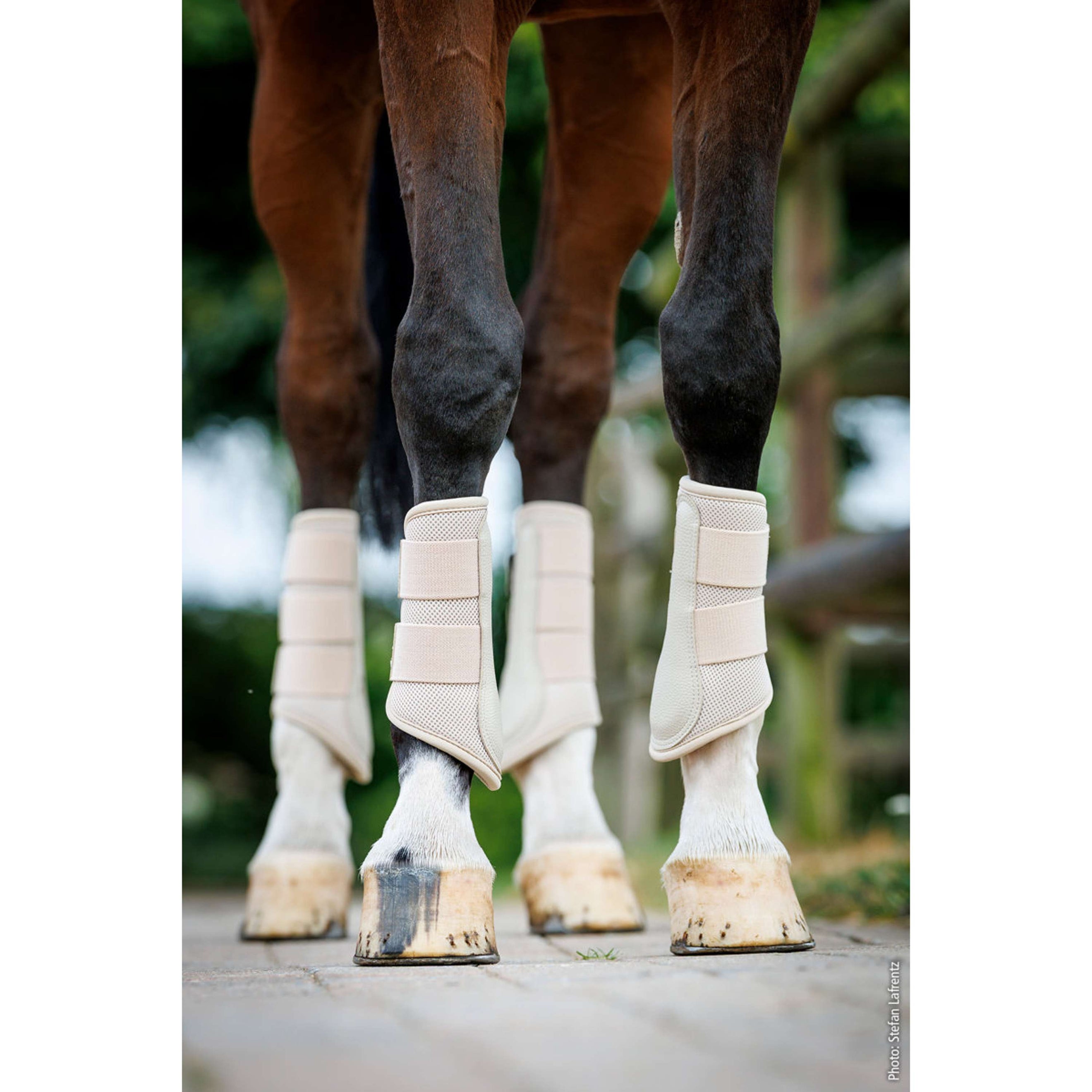Schockemöhle Dressage Boots SP Mesh Guards Style Stone Schockemöhle Dressage Boots SP Mesh Guards Style Stone