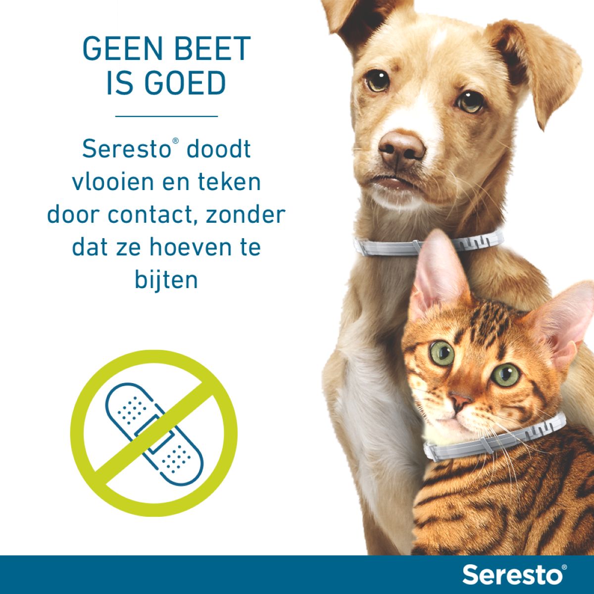 Seresto Teken en Vlooien Halsband Grote Hond