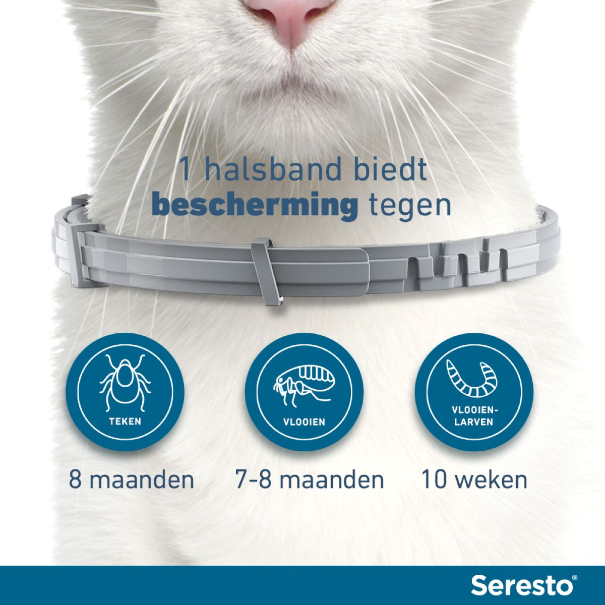 Seresto Teken en Vlooien Halsband Kat