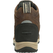 Suedwind Jodhpur Field FZ GripFTX Chocolade