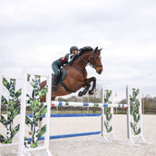 Aubrion Rijlegging Team Winter Groen