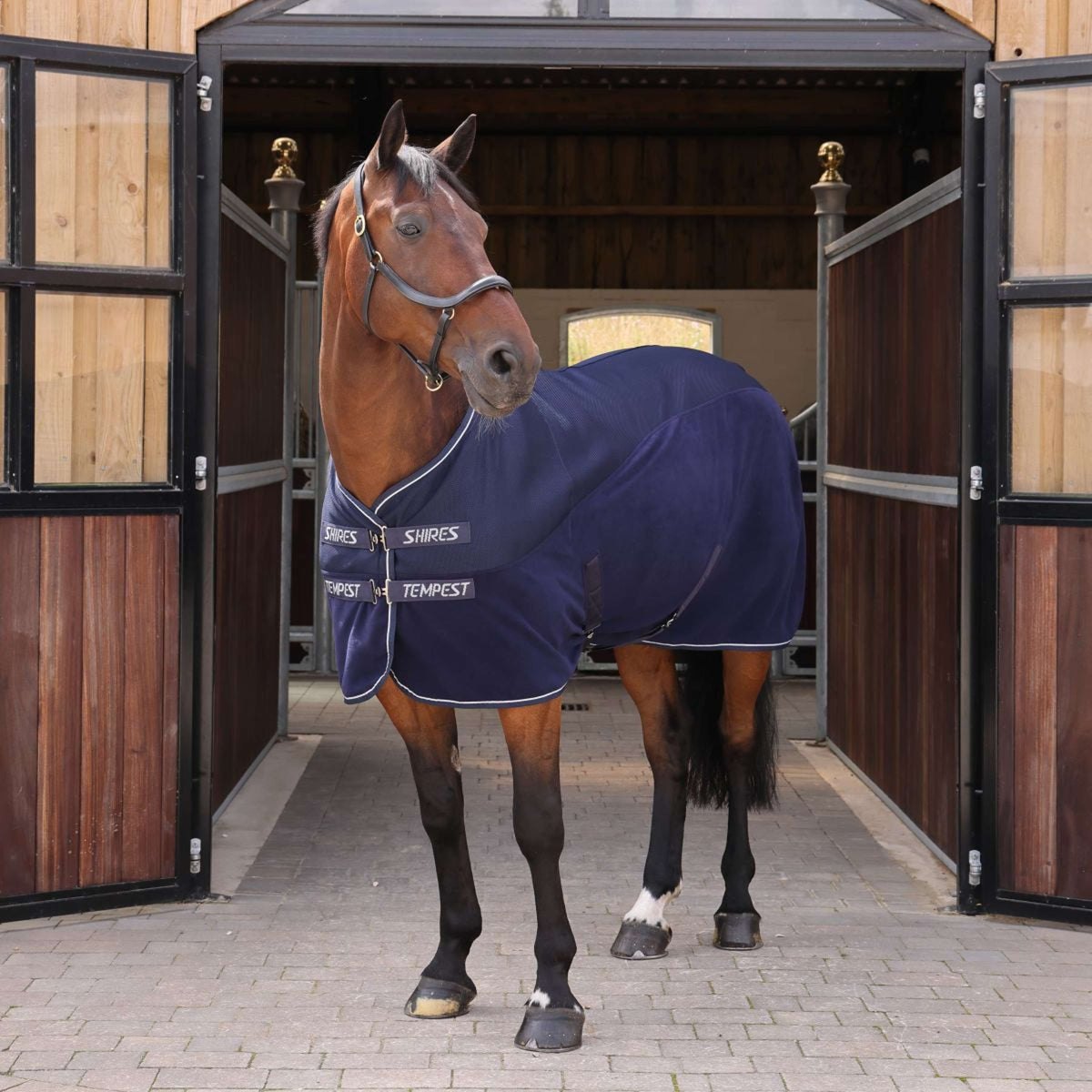 Tempest Original by Shires Zweetdeken Air Motion Navy