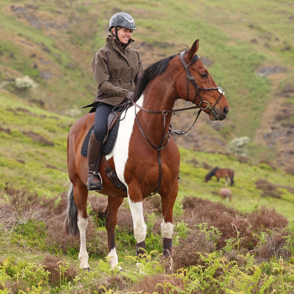 Aubrion by Shires Jas Heritage Donker Olijf