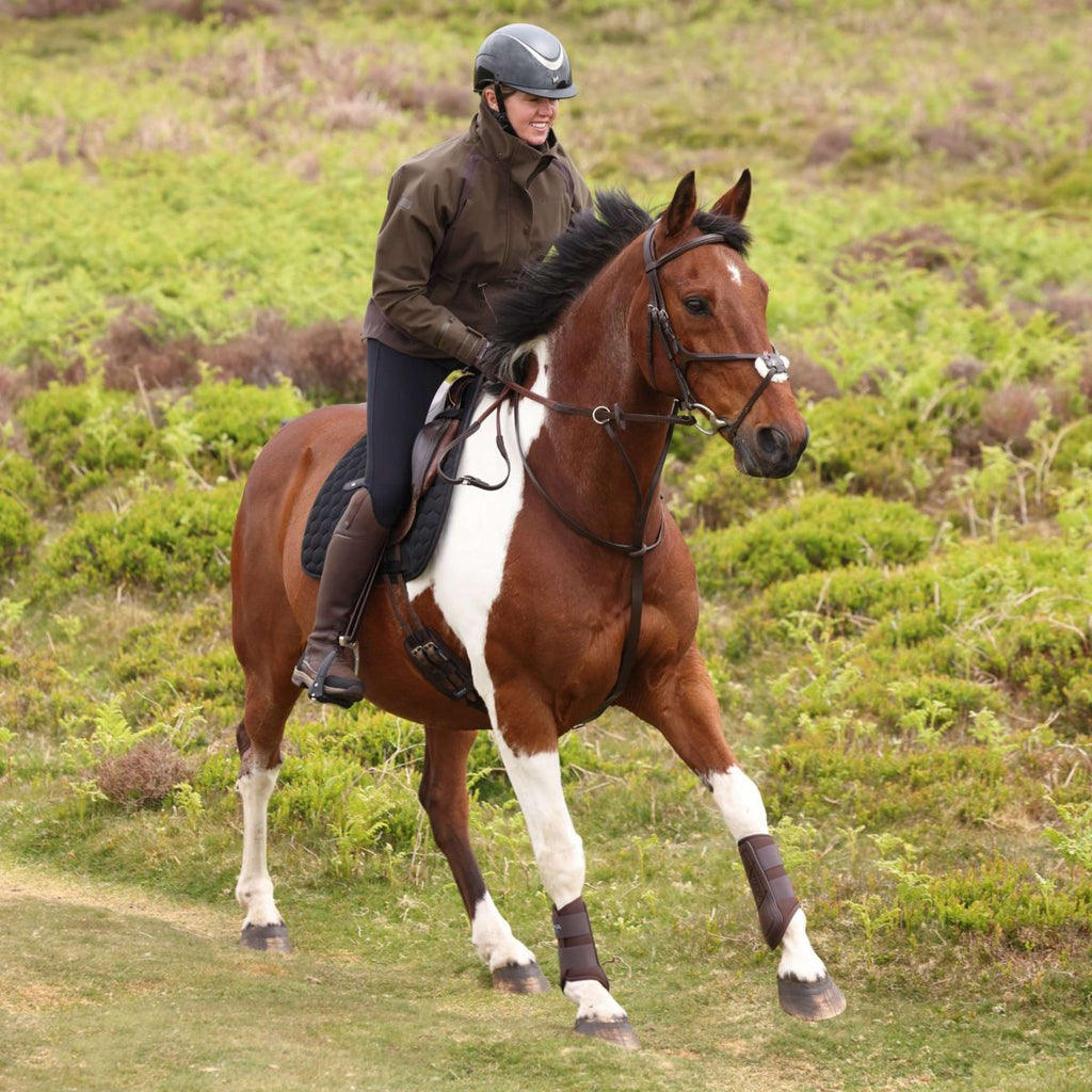 Aubrion by Shires Pullover Heritage Donker Olijf