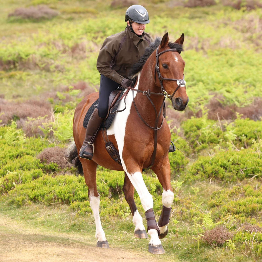 Aubrion by Shires Pullover Heritage Donker Olijf