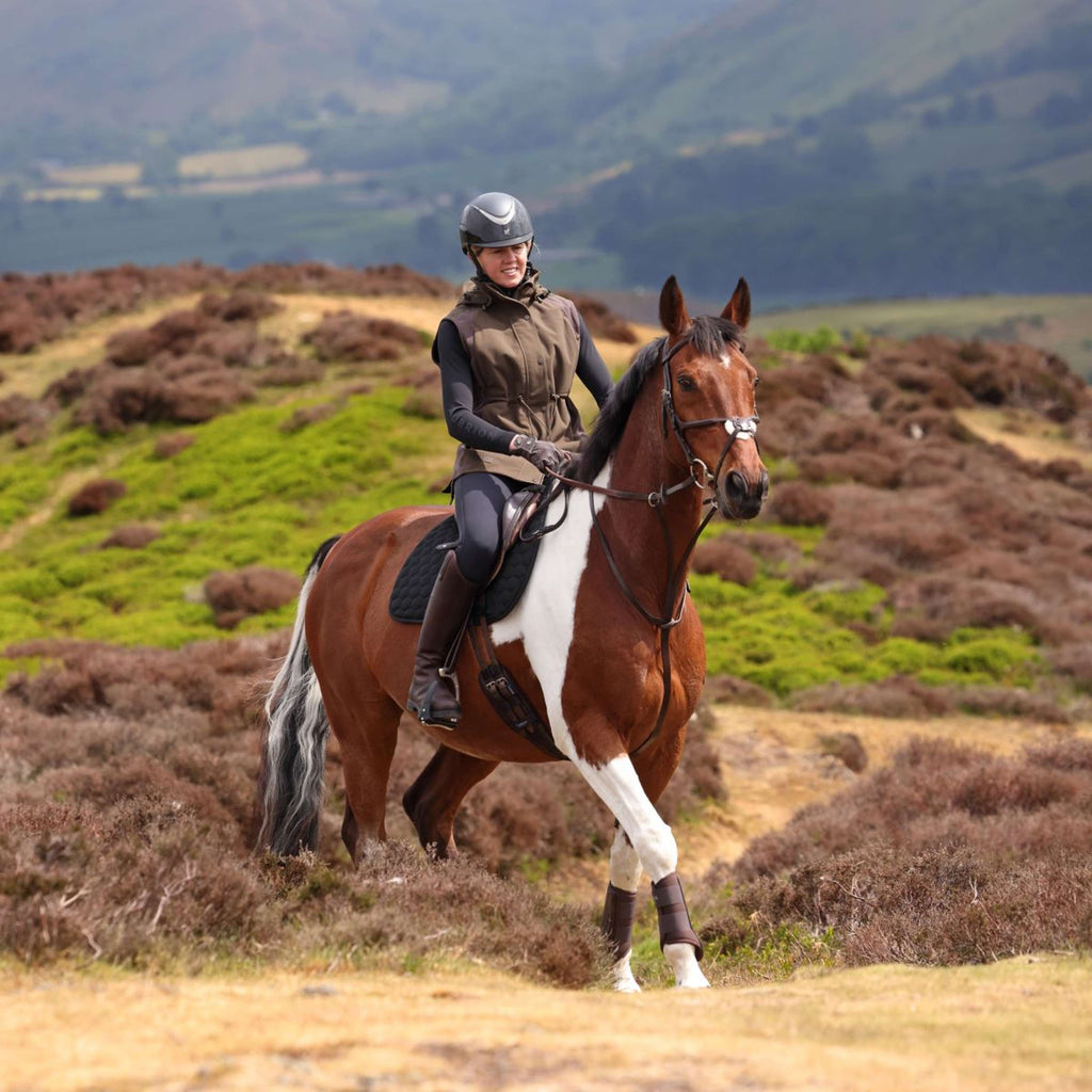 Aubrion by Shires Bodywarmer Heritage Donker Olijf