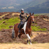 Aubrion by Shires Bodywarmer Heritage Donker Olijf