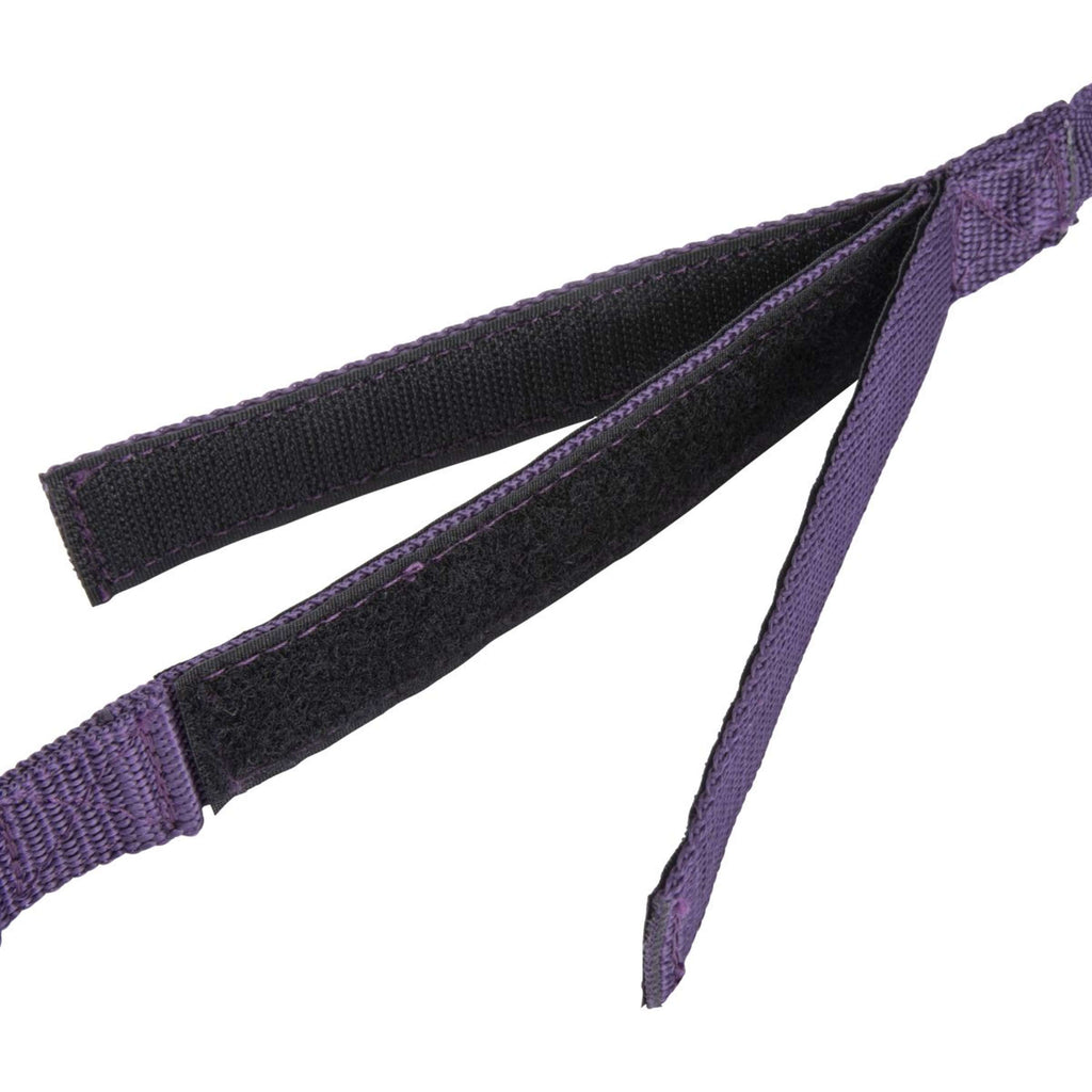 Shires Vastzetlijn Bungee Beakaway Paars