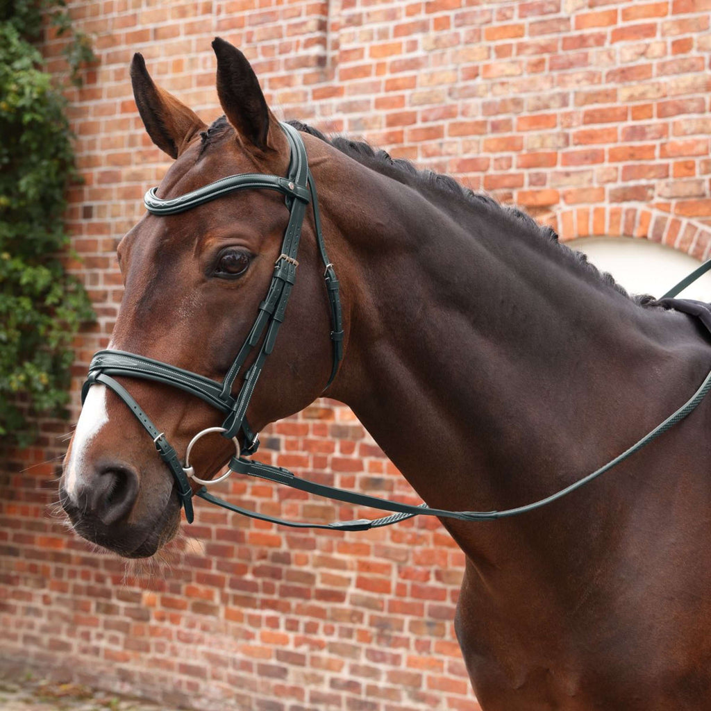 Velociti by Shires Teugels Lusso Elite Pro SureGrip Zwart