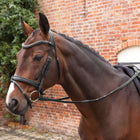 Velociti by Shires Teugels Lusso Elite Pro SureGrip Zwart