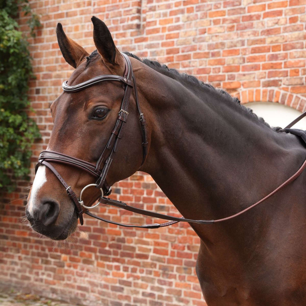 Velociti by Shires Teugels Lusso Elite Pro SureGrip Havana