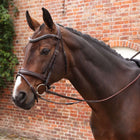 Velociti by Shires Teugels Lusso Elite Pro SureGrip Havana