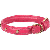 Digby & Fox Hondenhalsband Star Roze