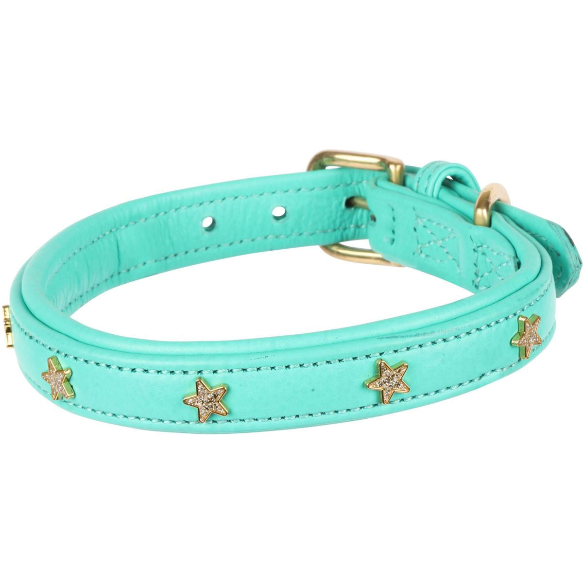 Digby & Fox Hondenhalsband Star Teal