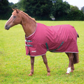 Tempest Original Winterdeken Turnout 200g Maroon