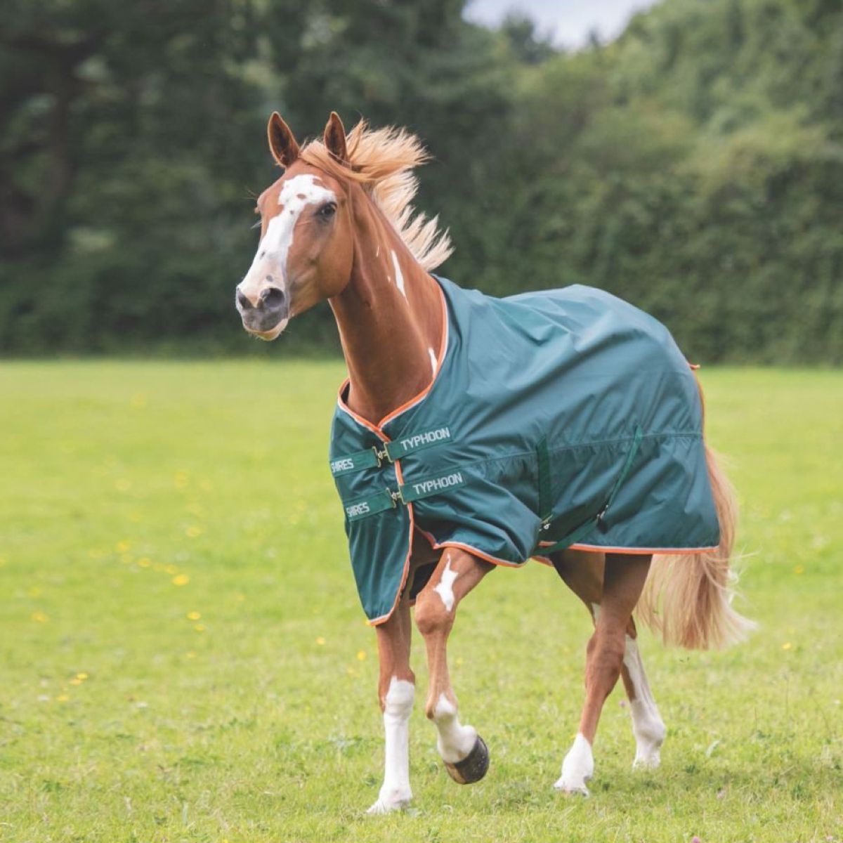 Tempest Regendeken Typhoon Lite Groen