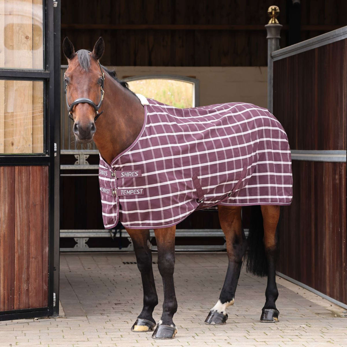 Tempest Original by Shires Staldeken Original Stable Maroon Check