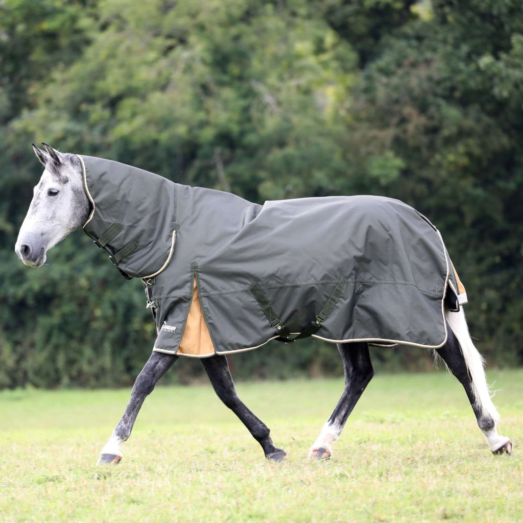 Highlander Plus by Shires Winterdeken Combo 50g Groen