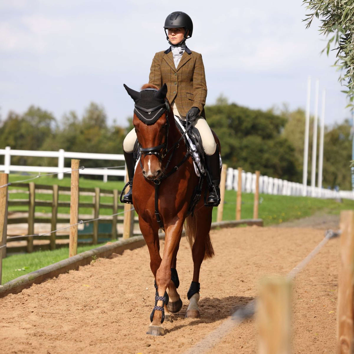 Aubrion by Shires Wedstrijdjasje Saratoga Oak Brown Check