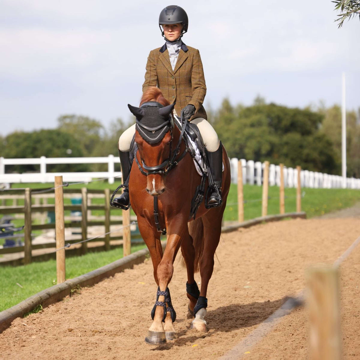 Aubrion by Shires Wedstrijdjasje Saratoga Oak Brown Check
