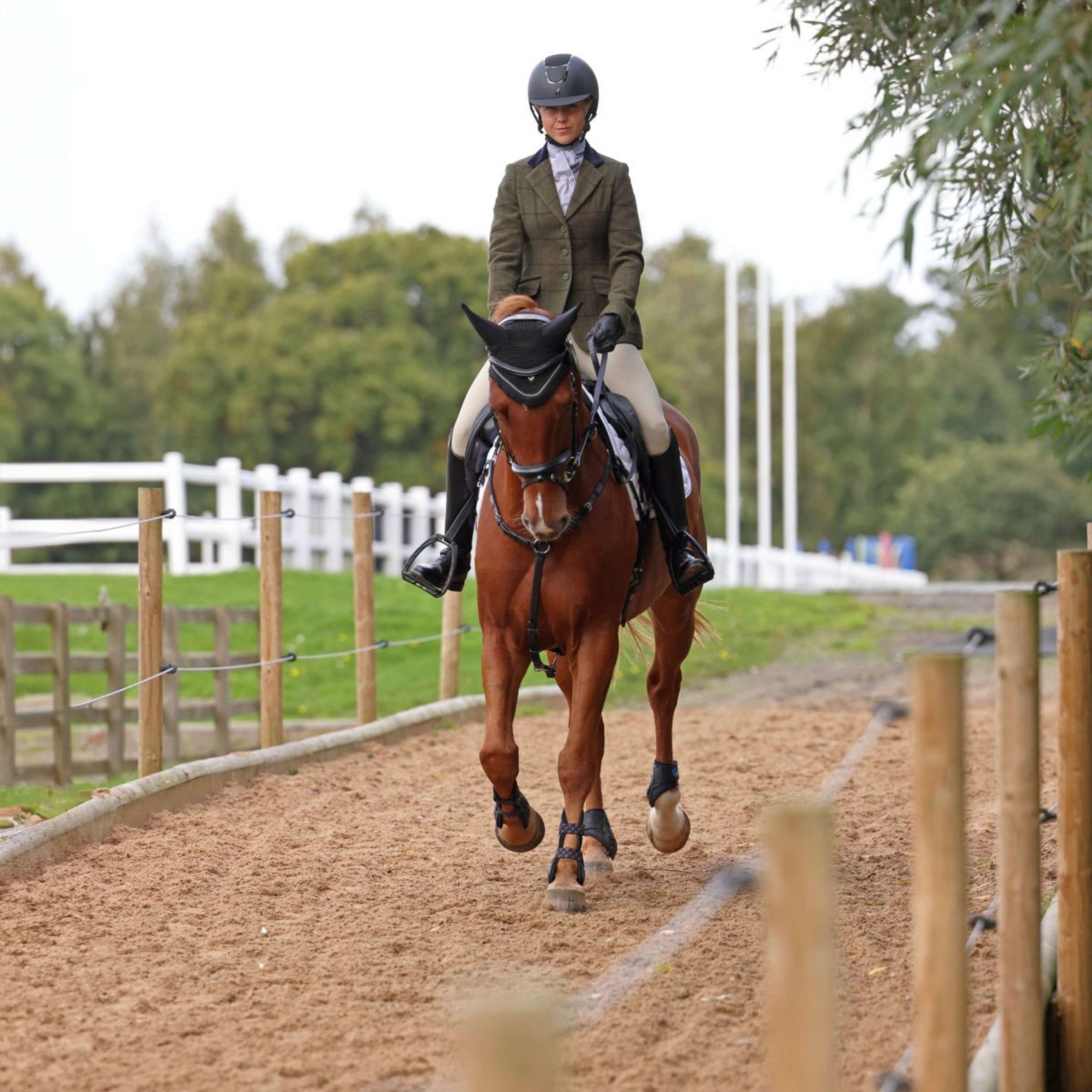 Aubrion by Shires Wedstrijdjasje Saratoga Spruce Groen Check