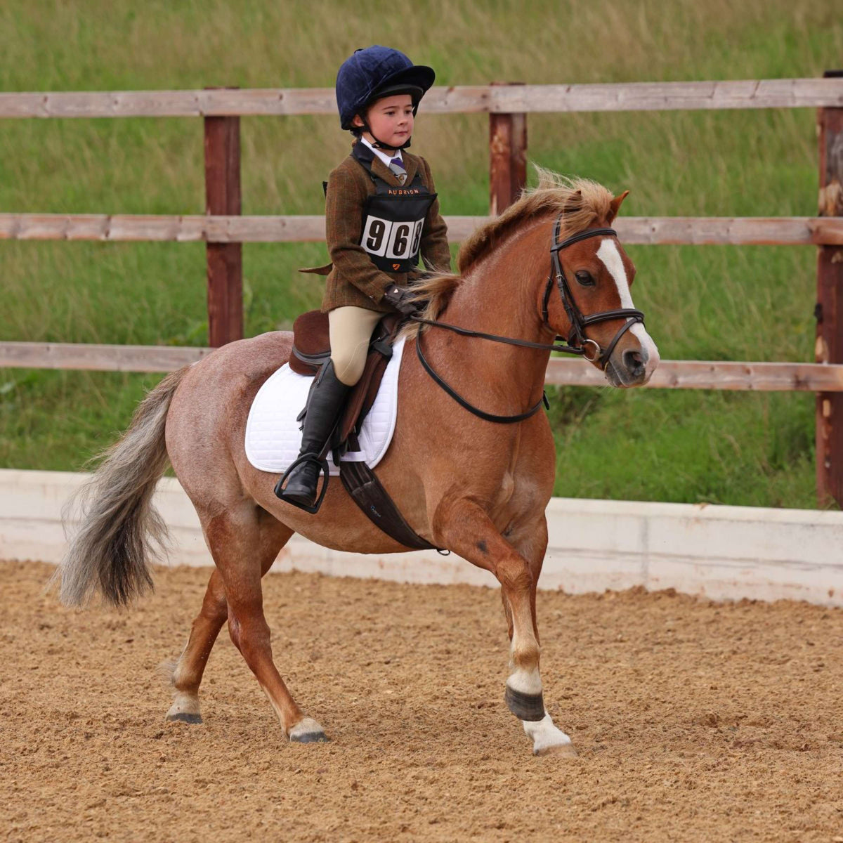 Aubrion by Shires Wedstrijdjasje Saratoga Kinderen Roest Check