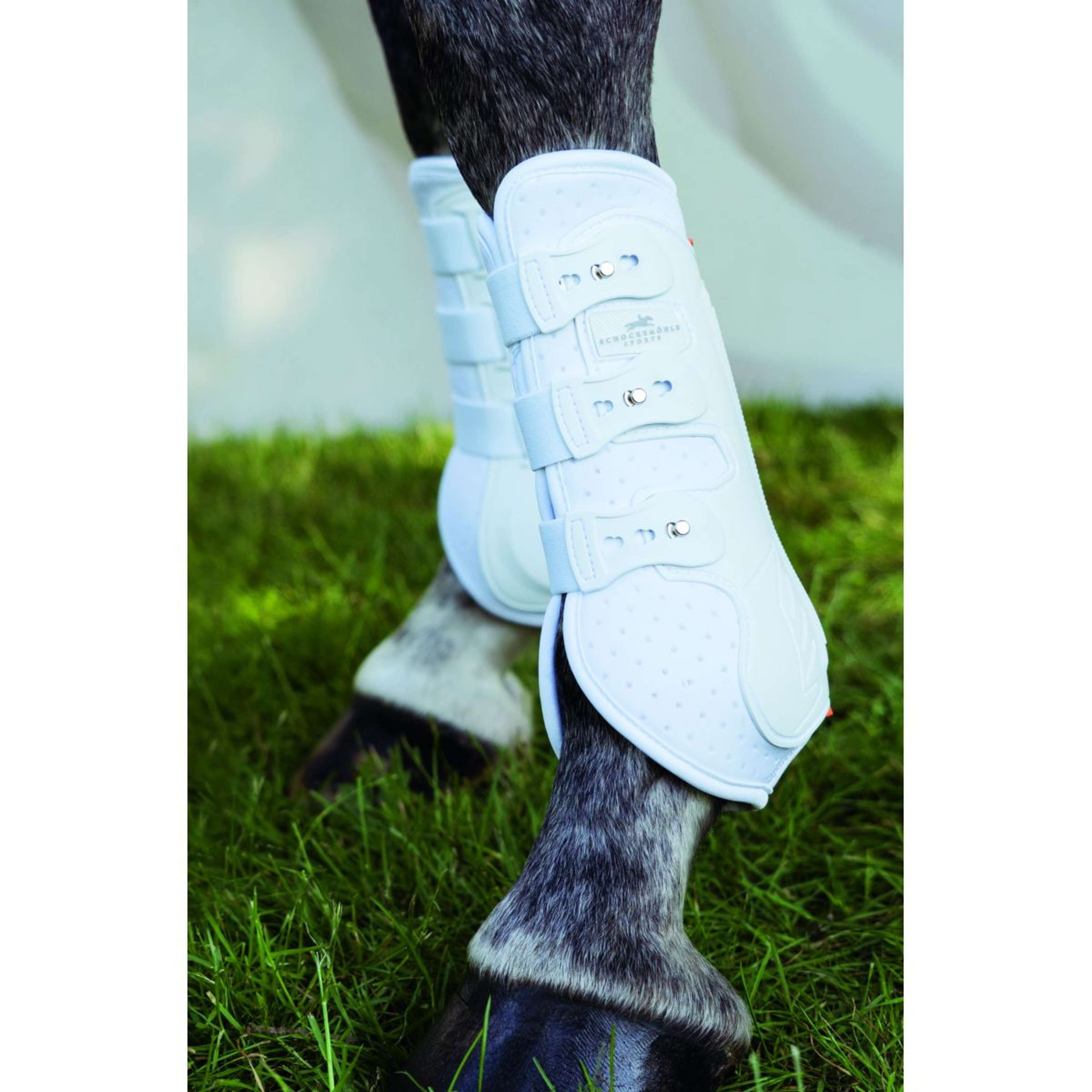 Schockemöhle Peesbeschermers Air Flow Dressage Voor Wit Schockemöhle Peesbeschermers Air Flow Dressage Voor Wit