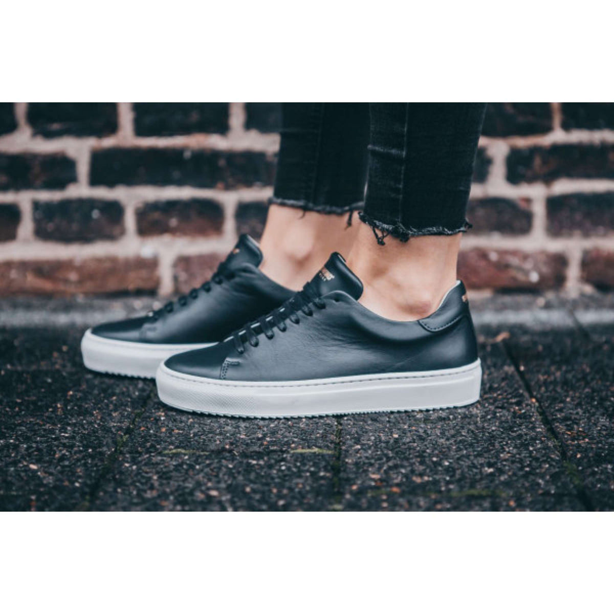 Suedwind Sneakers Ashton Leather Zwart