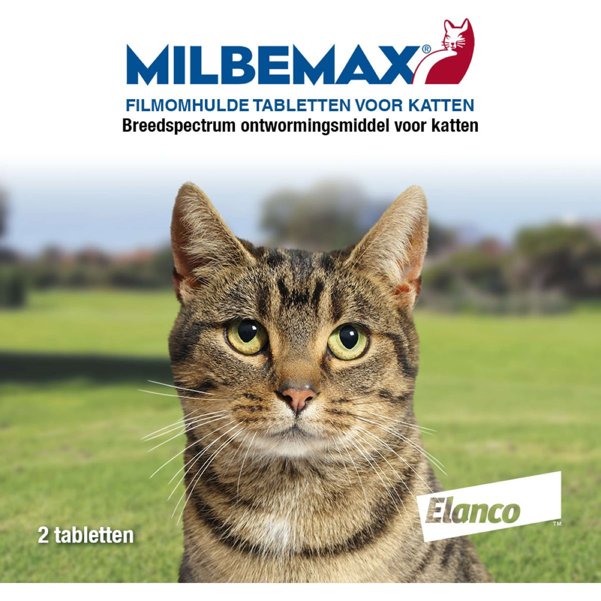 Milbemax Ontwormingstablet Kat Groot