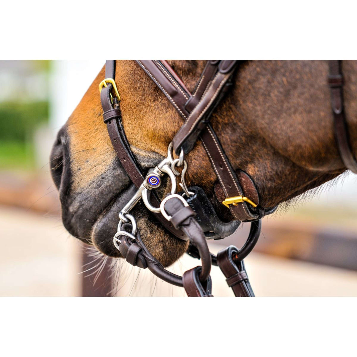 Trust Pelham Sweet Iron Dubbelgebroken 16mm