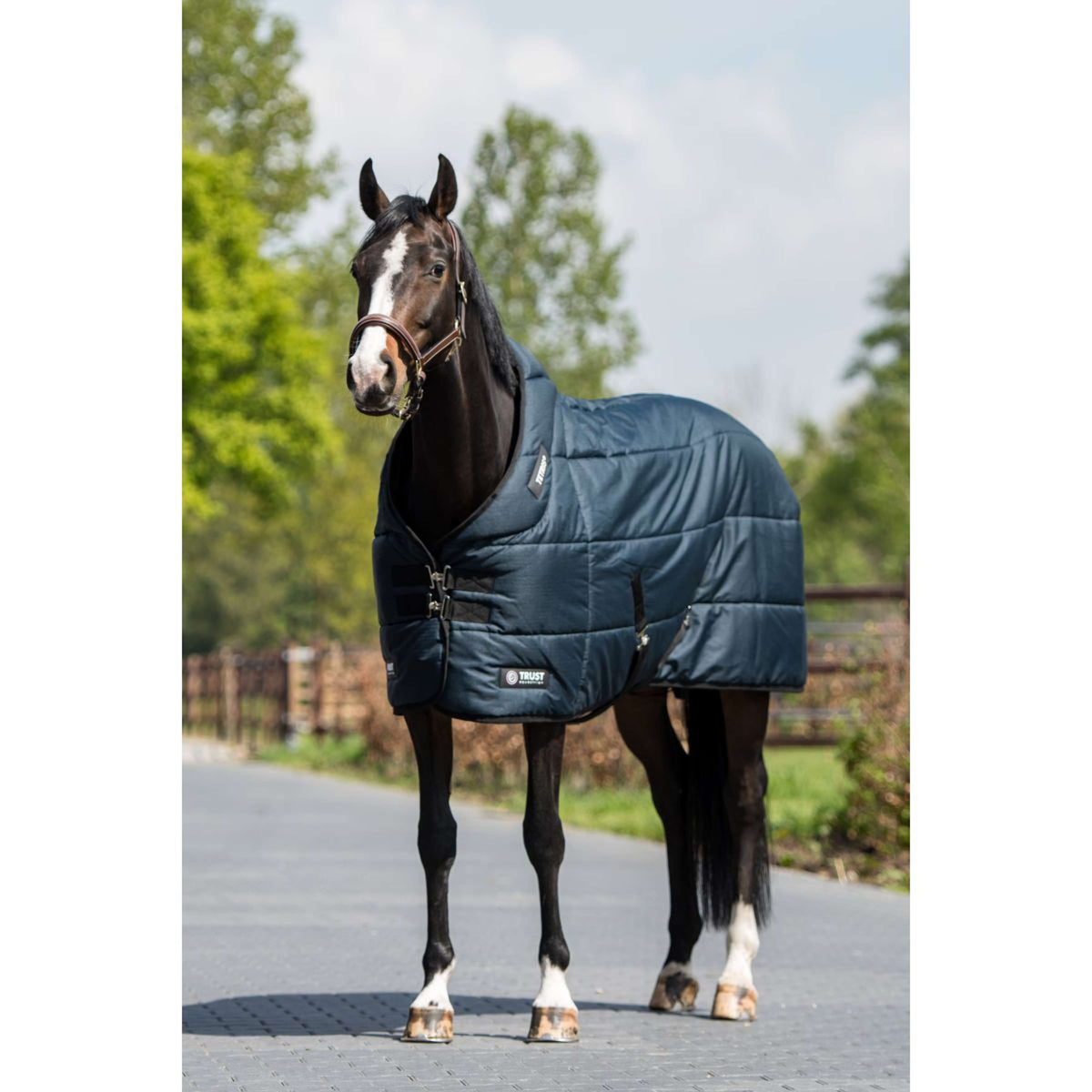 Trust Staldeken Tetris 200g Navy