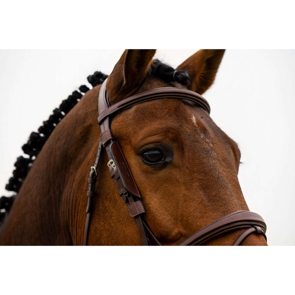 Trust Oogkleppen/Blinkers Bruin