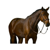 Trust Hoofdstel Amsterdam Bruin/Zilver