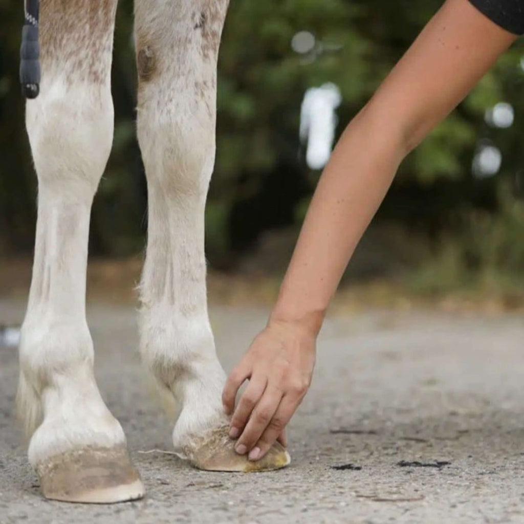 Unique-horn Hoof Repair Wax